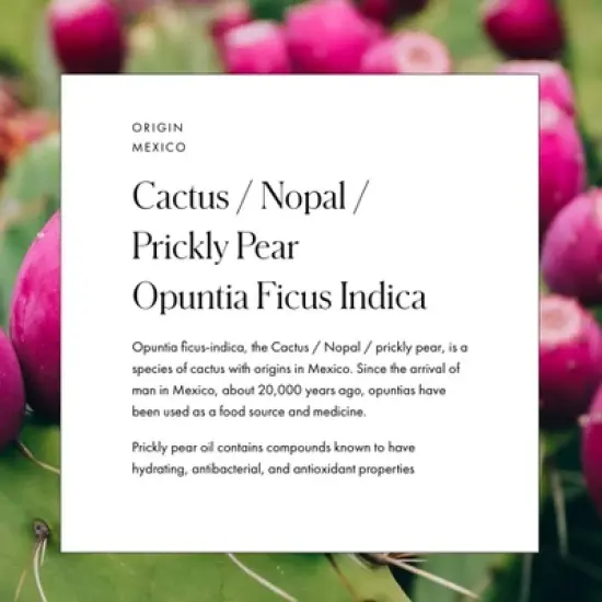 Vamigas &nbsp;Luz De Sur Maqui, Chia, Cactus/Nopal & A&ccedil;a&iacute; Face Oil - 1.35 fl oz image {7}