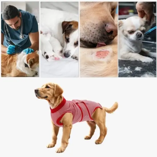 Unique Bargains Pet Recovery Suit Medium Red White 1 Pc image {3}