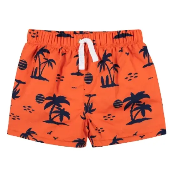 Gerber Baby & Toddler Boys' Two-Piece Swim Trunks and Long Sleeve Rash Guard Set image {1}