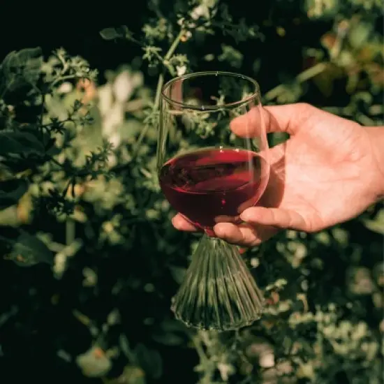Avaline Pinot Noir - 750ml Bottle image {4}