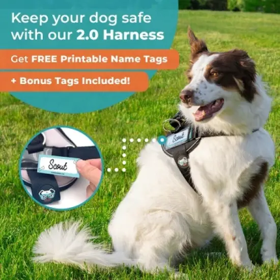 Joyride Harness Premium Advanced No Pull Dog Harness 2.0 image {7}