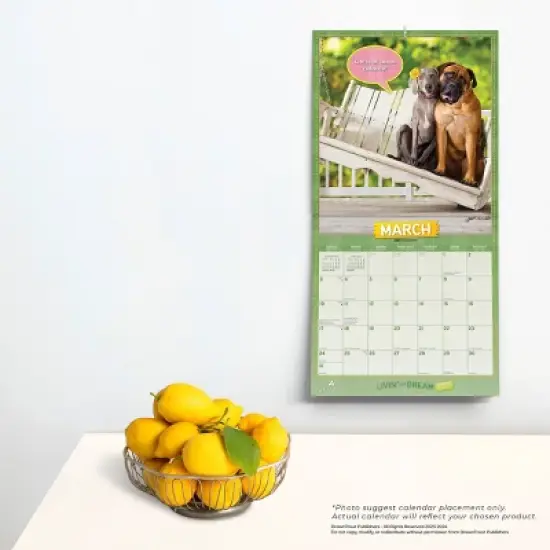 Browntrout 2024 Wall Calendar 12"x12" Avanti Livin' the Dream Foiled image {3}