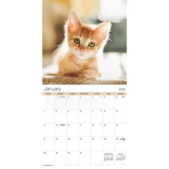 Trends International Inc. 2023-24 Wall Calendar 12"x12" Cuddly Kittens image {1}