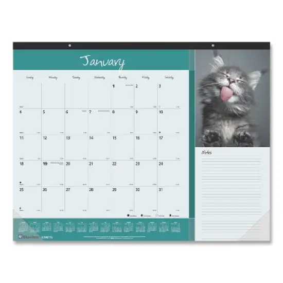 Pets Collection Monthly Desk Pad, Furry Kittens Photography, 22 x 17, White Sheets, Black Binding, 12-Month (Jan-Dec): 2026 image {5}