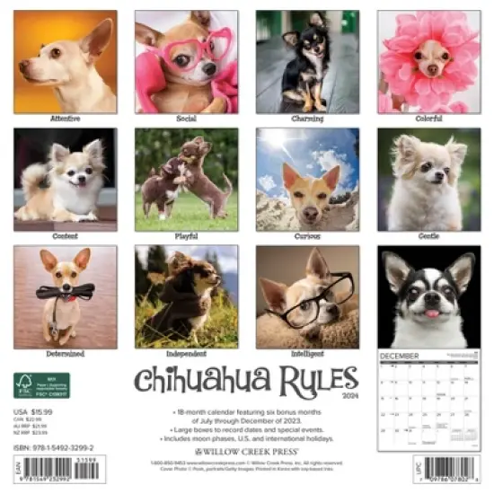 Willow Creek Press 2024 Wall Calendar 12"x12" Chihuahua Rules image {1}