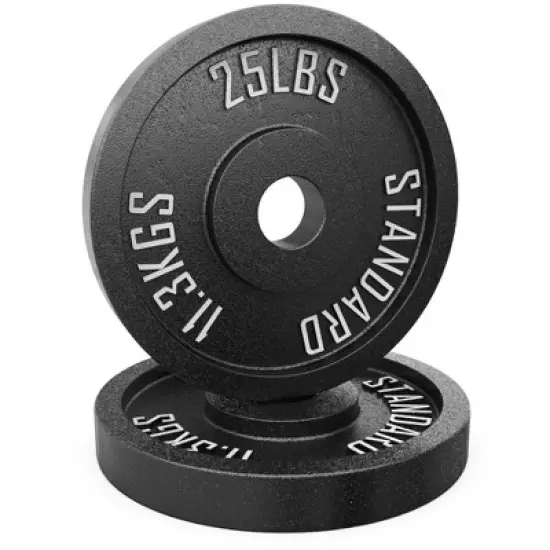 Synergee Standard Metal Weight Plates image {10}