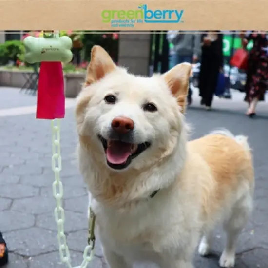 Greenbone Biobase Christmas-Themed Pet Waste Bag Refills: 16 Rolls -192 Refills to Keep Your Pet Happy and Your Neighborhood Clean! image {4}