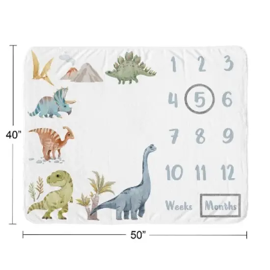 Sweet Jojo Designs Boy Baby Milestone Blanket Watercolor Dinosaur Dino Multicolor image {3}