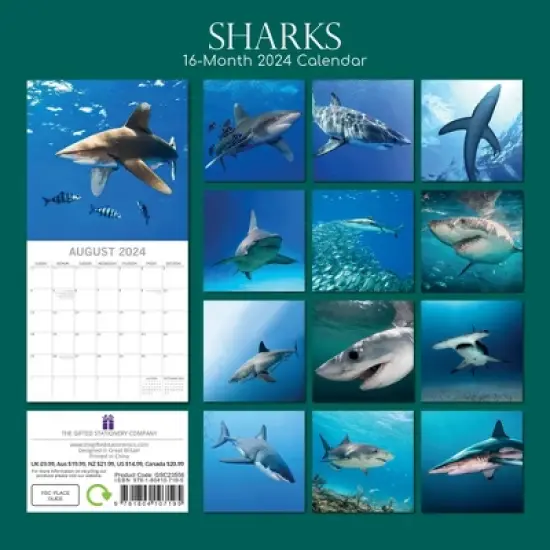 The Gifted Stationery 2024 Square Wall Calendar, Sharks, 16-Month Animals Theme with 180 Reminder Stickers (12 x 12 In) image {3}