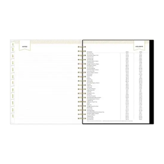 Day Designer 8"x10" 2025-2026 Daily/Monthly Wirebound Planner Frosted Rugby Stripe image {11}