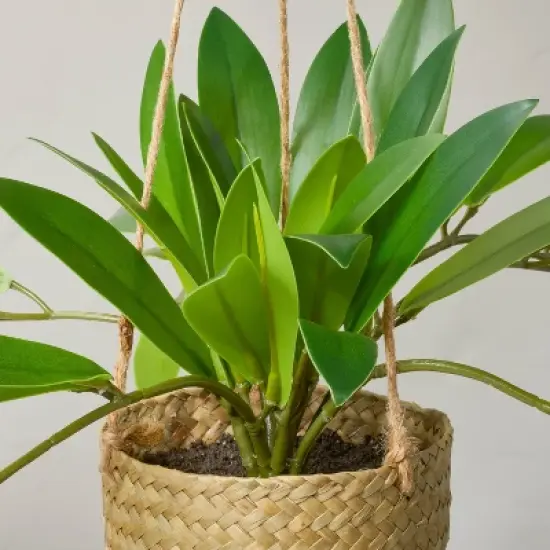 8" Faux Hoya Hanging Plant - Hearth & Hand&trade; with Magnolia image {2}