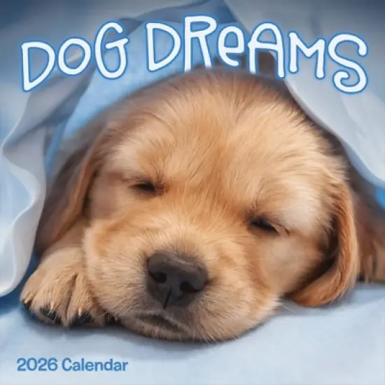 TF Publishing 13.5"x14.5" 2026 Dog Dreams Wall Calendar image {1}