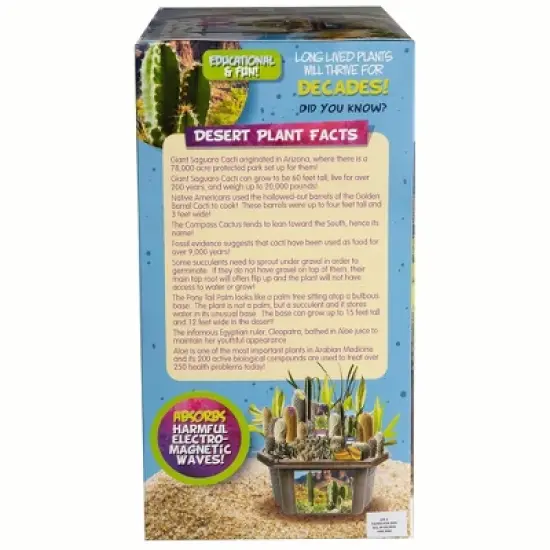 Toys By Nature: Desert Dome - DIY Terrarium Kit, Grow Mini Cacti & Succulent image {4}