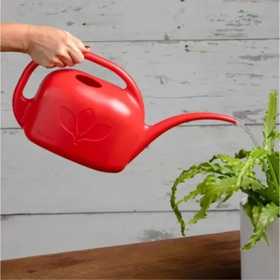Novelty Indoor Standard Garden Watering Can, 1 Gallon image {1}