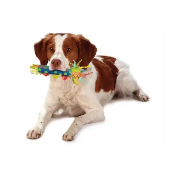 Petstages Cool Teething Stick Dog Toy image {2}