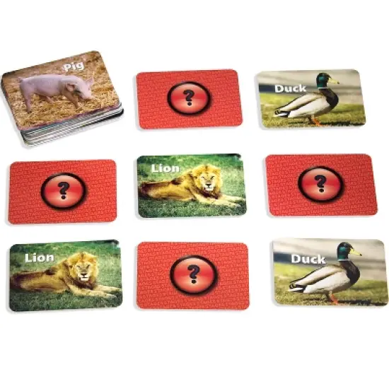 Stages Learning Materials Photographic Memory Matching Game, Animals image {3}