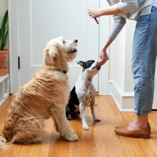 Rocco & Roxie Supply Co.Beef Jerky Sticks Dog Treats - 16oz image {3}