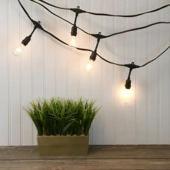 LumaBase Electric Commercial-Grade String Lights with 12 Edison Bulbs image {2}