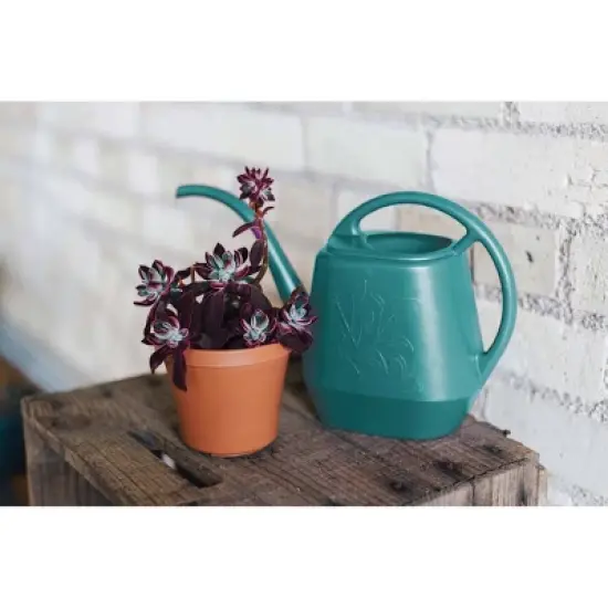 1.2gal Watering Can - Bloem image {2}