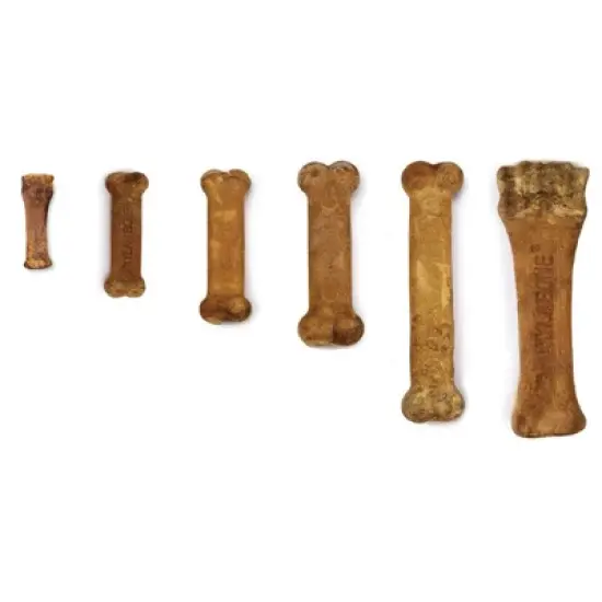 Nylabone Healthy Edibles Dog Chews - Bacon Flavor- 1 Pack image {1}