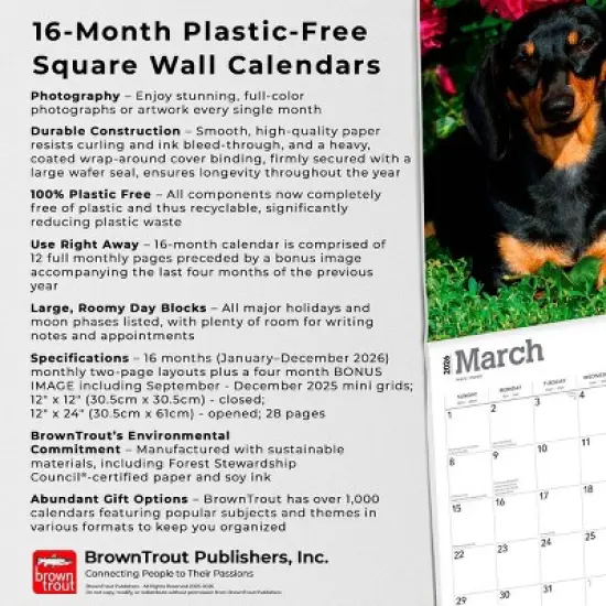 BrownTrout Dachshunds 2026 12"x24" Hanging Square Wall Calendar Plastic-Free image {5}