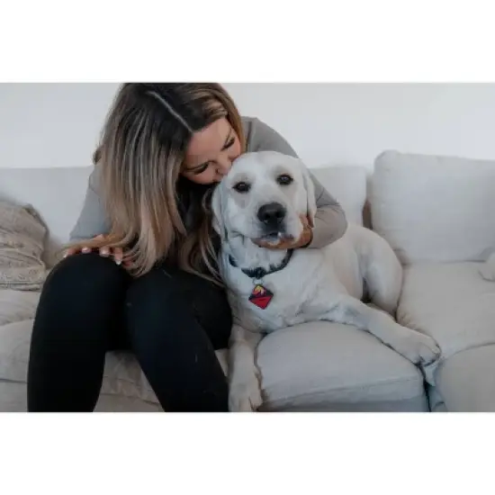 QALO TraQ Powered By Tile Dog and Cat Silicone Bluetooth Trackable Pet ID Tag - Red image {5}