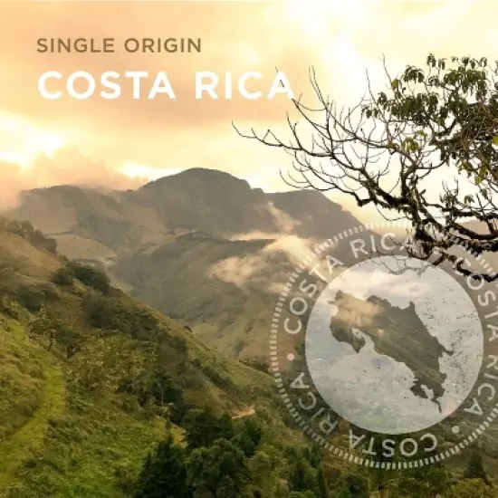 Peet's Costa Rica Single Origin Medium Roast Ground Coffee - 10.5oz image {3}