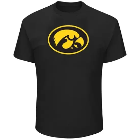 NCAA Iowa Hawkeyes Men's Big and Tall Logo Short Sleeve T-Shirt image {3}