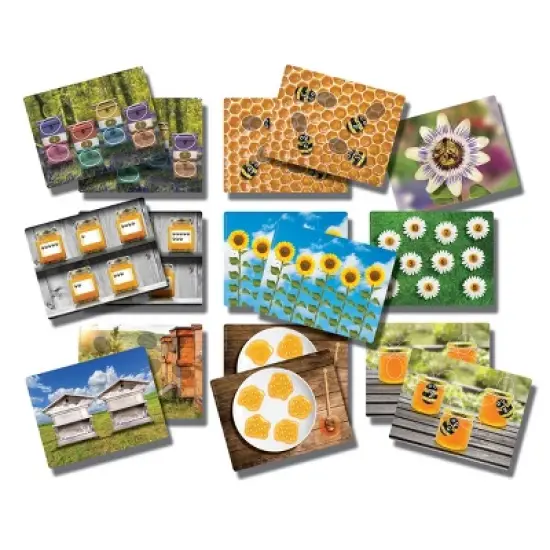Yellow Door Honey Bee Stones and Activity Cards image {1}