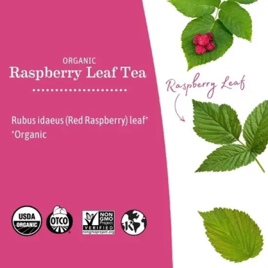 Earth Mama Organic Raspberry Leaf Tea for Labor Prep and Menstrual Support - 0.84oz/16ct image {3}
