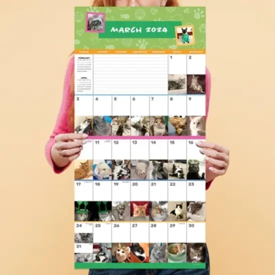 TF Publishing 2024 Wall Calendar 12"x12" Cat-A-Day image {3}