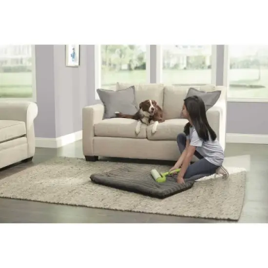 Evercare Pet Mega Handheld Roller - Green image {3}