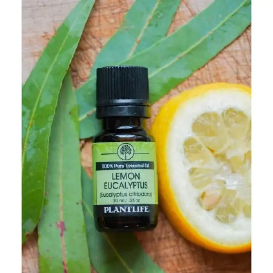 Plantlife Lemon Eucalyptus Essential Oil &ndash; 100% Pure & Therapeutic Grade &ndash; Natural, Undiluted, No Additives &ndash; 10ml Aromatherapy image {2}
