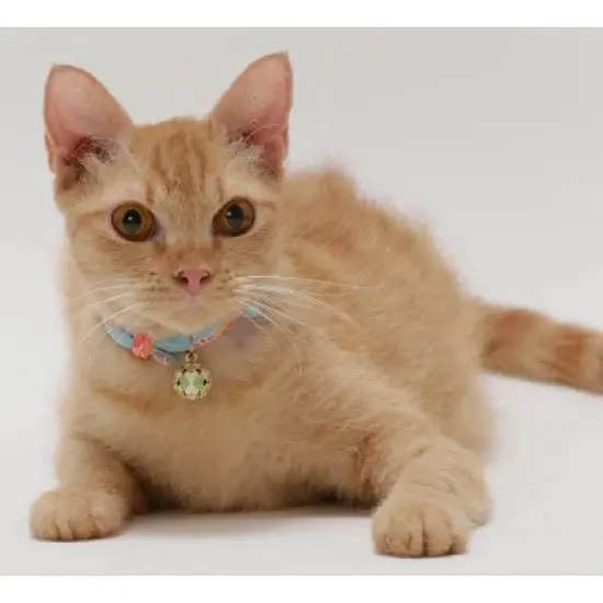 Necoichi Cherimen Cat Collar with Clover Bell image {2}