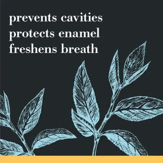 Burt's Bees Toothpaste, Natural Flavor, Charcoal with Fluoride Toothpaste, Mountain Mint, 4.7 oz image {7}