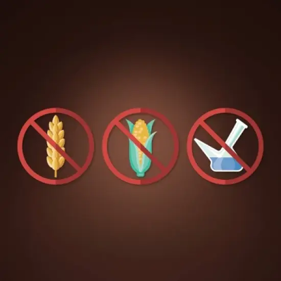 Fruitables Skinny Minis Grilled Bison Flavor Healthy Low Calorie Chewy Dog Treats - 12oz image {4}