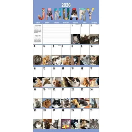 TF Publishing 13.5"x14.5" 2026 Cat-A-Day Wall Calendar image {5}