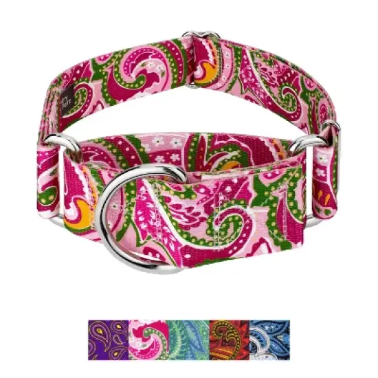 Country Brook Petz HossFit Jr Wide Martingale Dog Collar - Paisley Collection image {10}