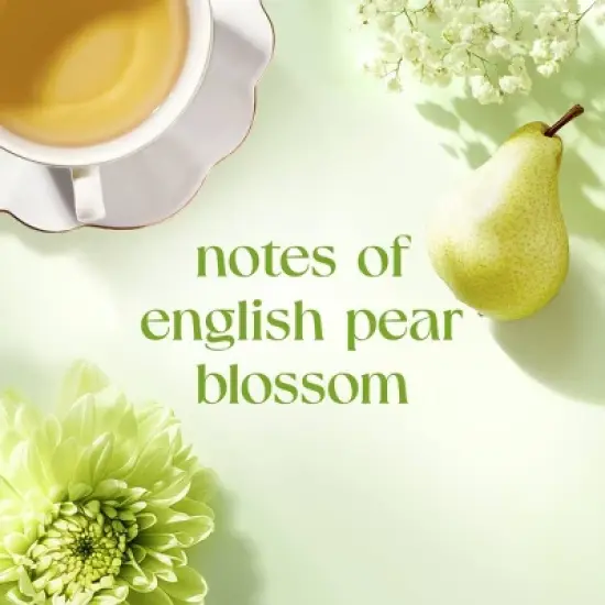 Dove Beauty Advanced Care Limited Edition Garden Tea Party Solid Antiperspirant and Deodorant English Pear Blossom - 2.6oz image {4}