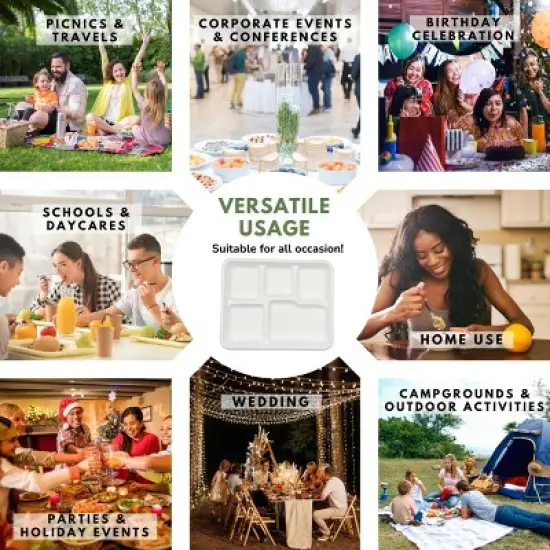 5 Compartment Square Biodegradable Divided Plates - Pack of 250 - Rani Brand Authentic Indian Products image {4}