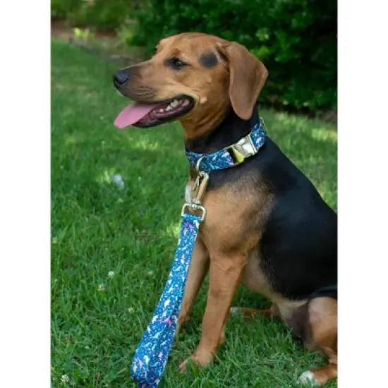 Country Brook Petz Premium Dog Collar and Leash - Critter Corner Collection image {2}