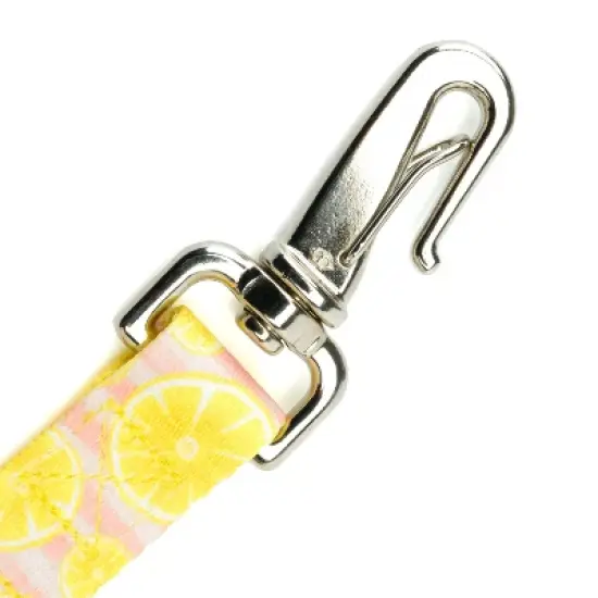 Country Brook Petz 6 Foot Dog Leash - Tasty Collection image {3}