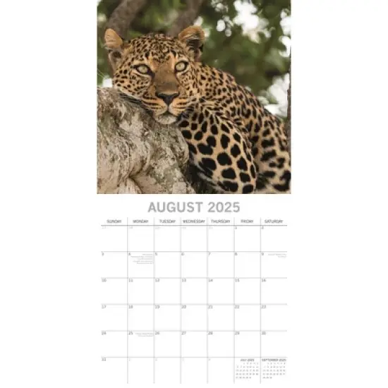 The Gifted Stationery 2025 Square Wall Calendar, Safari, 16-Month Natural World Theme with 180 Reminder Stickers (12x12 In) image {2}
