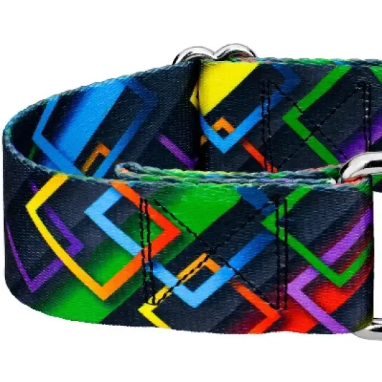 Country Brook Petz HossFit Jr Wide Martingale Dog Collar - Abstract Collection image {9}