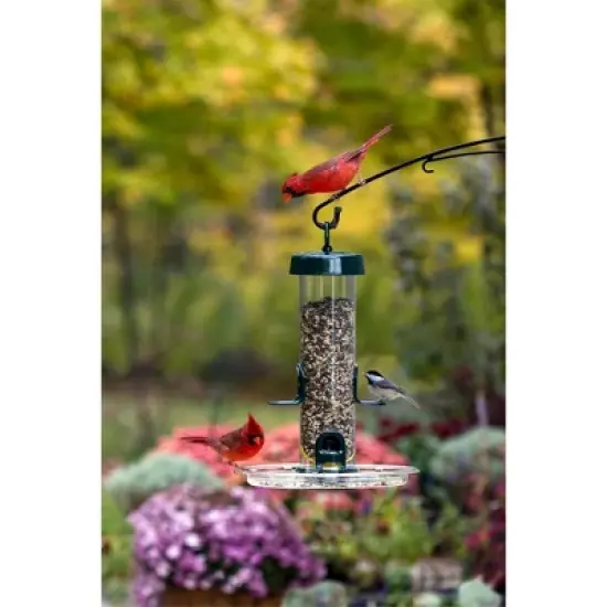 Brome Tube Solution 150 Wild Bird Feeder, 2.6-Pound Seed Capacity, Clear image {4}