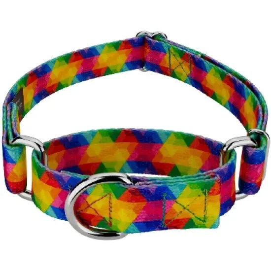 Country Brook Petz Kaleidoscope Martingale Dog Collar image {4}