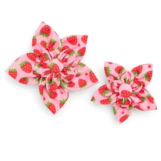 The Worthy Dog Strawberries Adjustable Flower Accessory image {1}
