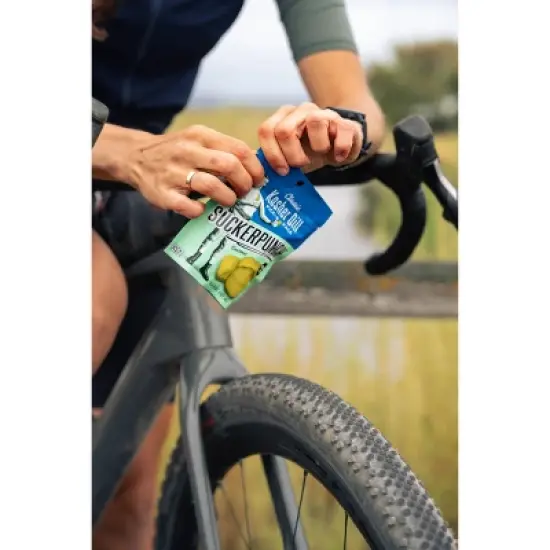 SuckerPunch Gourmet Kosher Dill Pickles - 17 fl oz/5ct image {3}