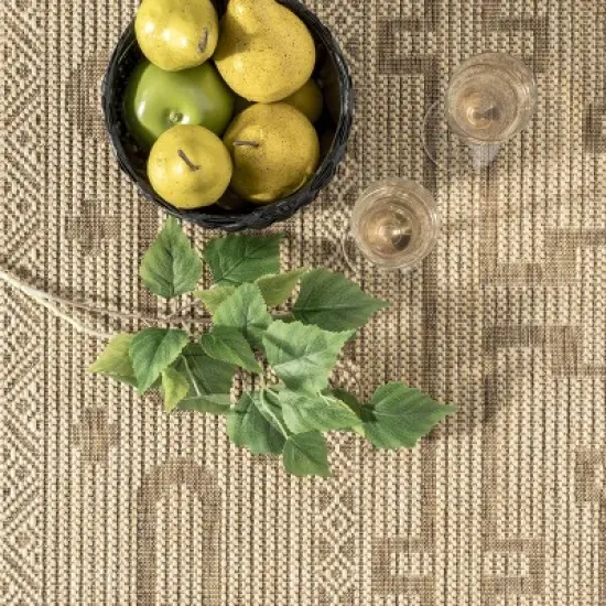 nuLOOM Brandy Transitional Celtic Indoor and Outdoor Patio Area Rug image {5}