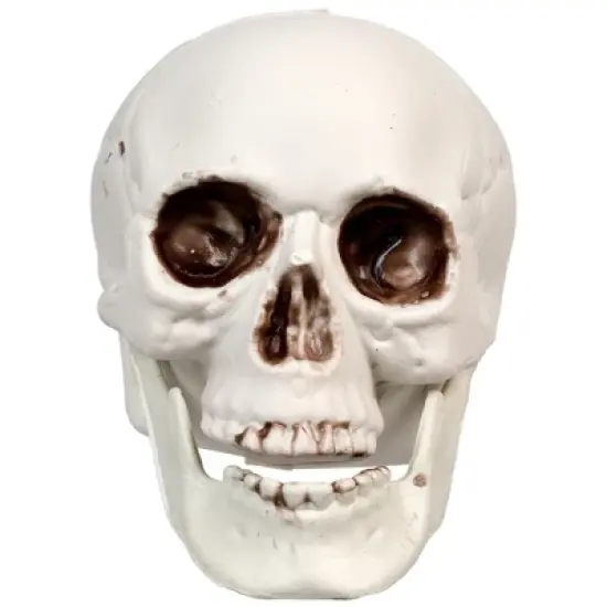 Northlight Skeleton Skull Halloween Decorations - 3.5" - Pack of 6 image {2}